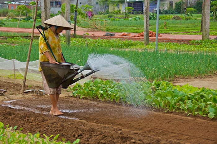 bigstock-HOI-AN-VIETNAM--CIRCA-Novemb-61127729_web