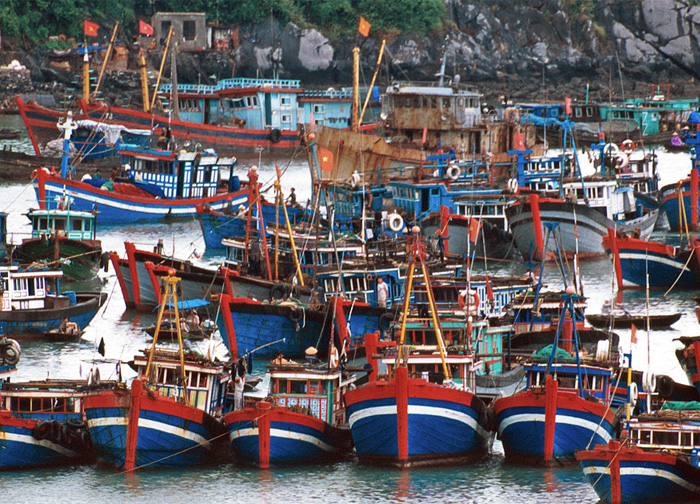 Busy Port in Hai Phong