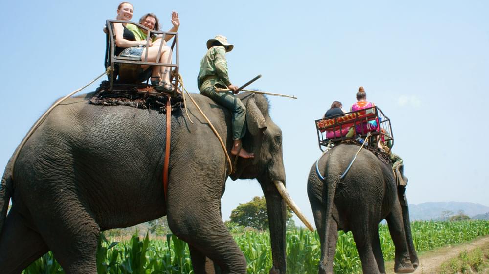 Elephant Ride in Vietnam